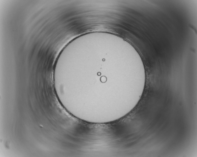 X0000103951092200810171832