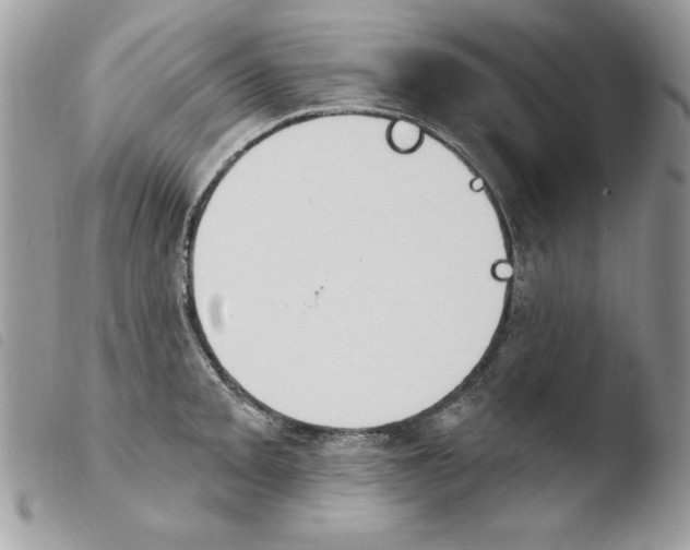 X0000103951093200810171832
