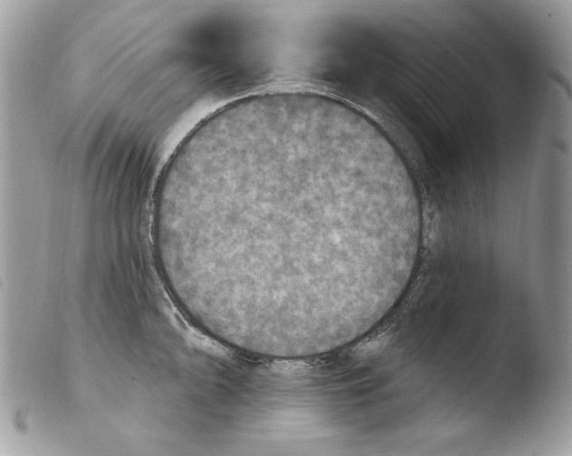 X0000103951094200810171832