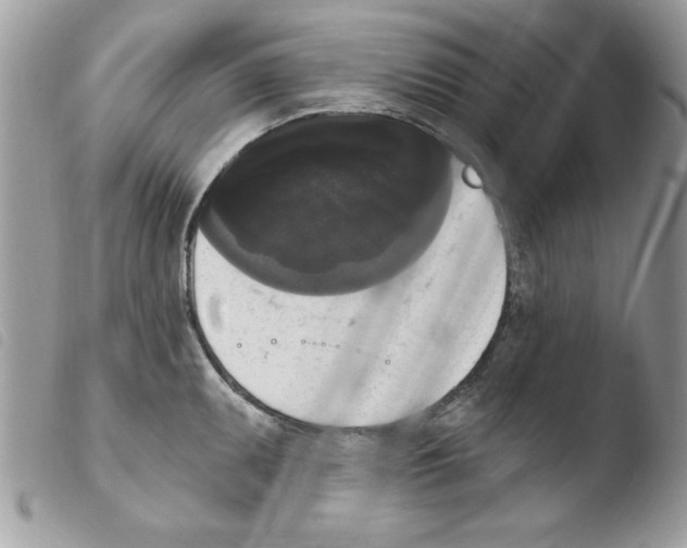 X0000103951095200810171832