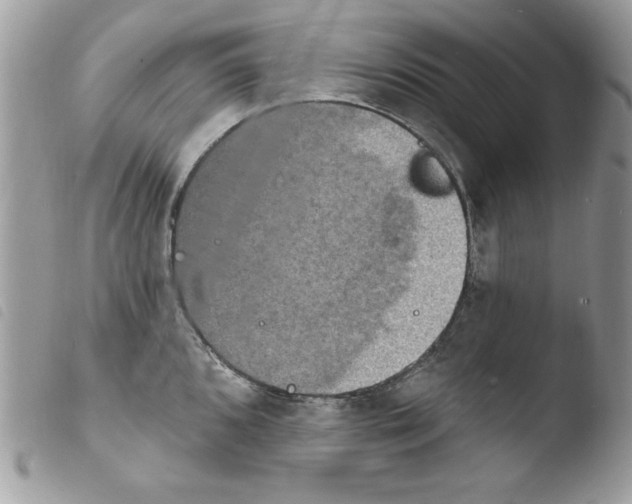 X0000103951096200810171832