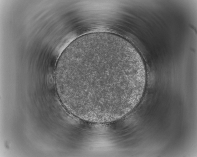 X0000103951097200810171832