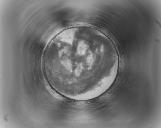 X0000103951098200810171832