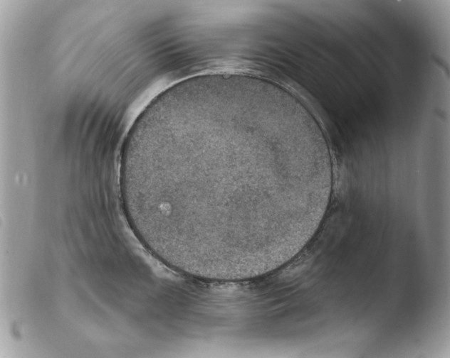 X0000103951099200810171832