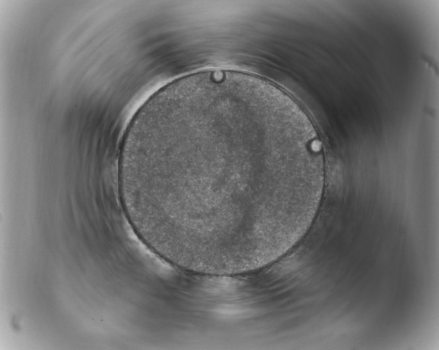 X0000103951100200810171832