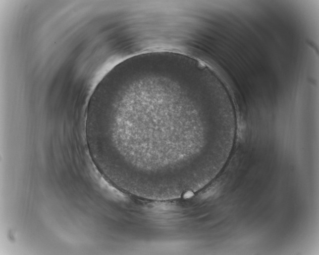 X0000103951102200810171832
