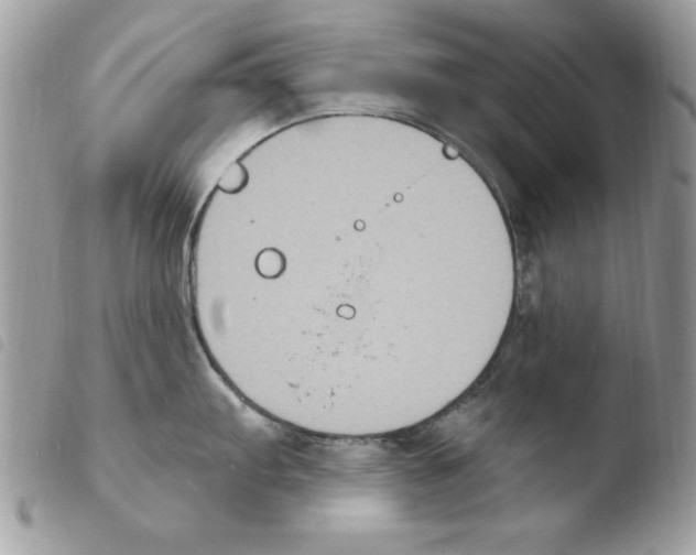 X0000103951103200810171832