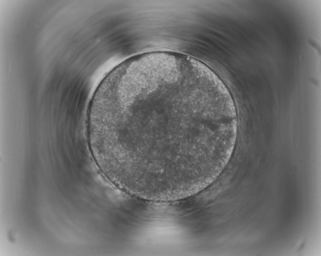 X0000103951104200810171832