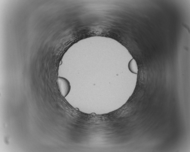 X0000103951105200810171831