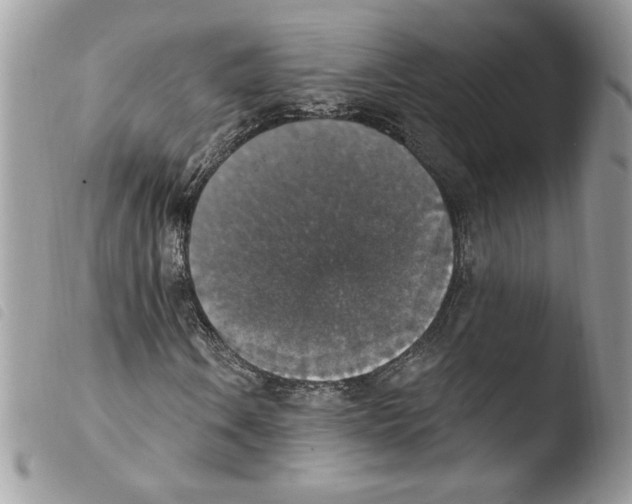 X0000103951106200810171831