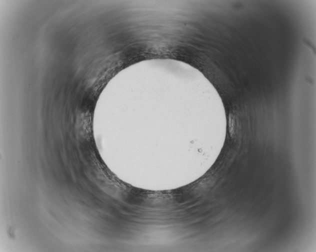 X0000103951107200810171831