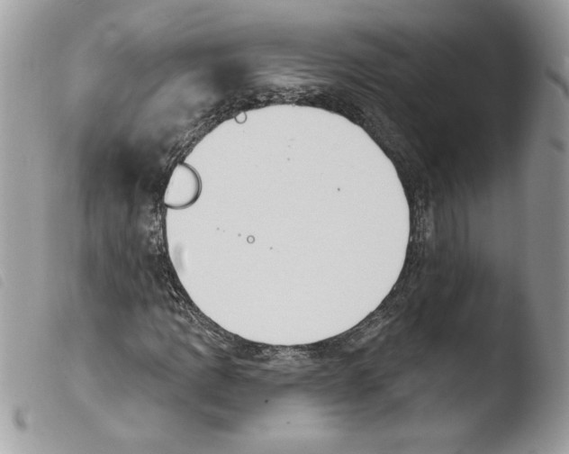 X0000103951109200810171831