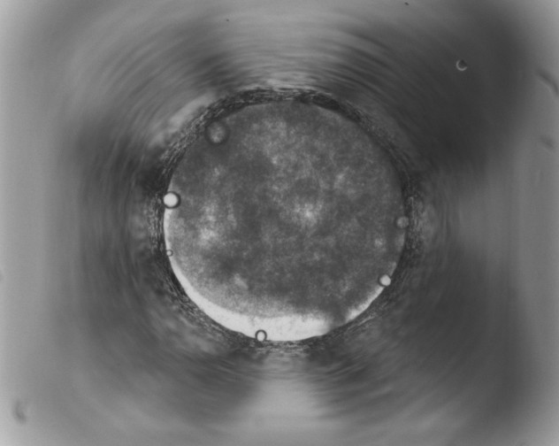 X0000103951110200810171831