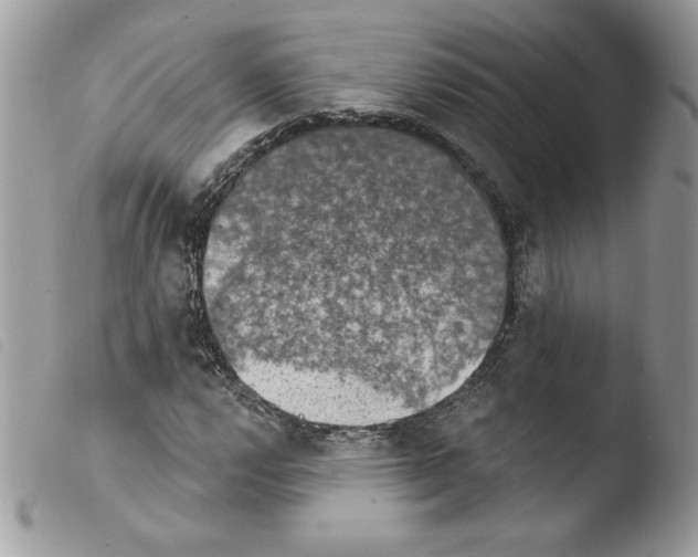 X0000103951112200810171831