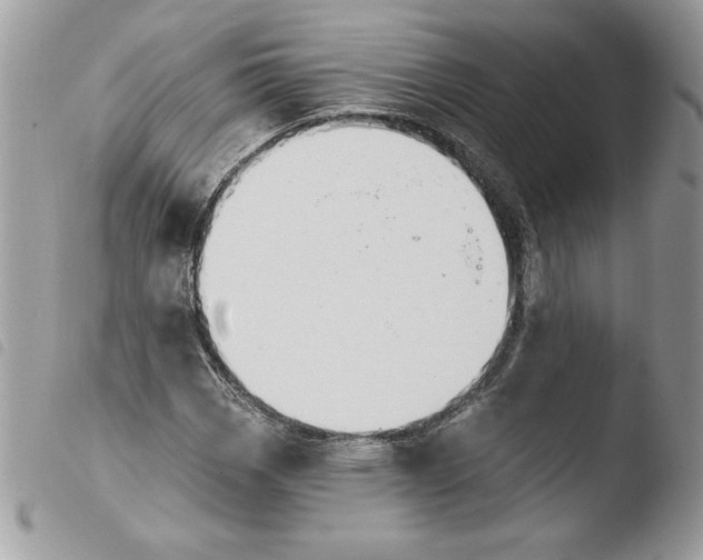 X0000103951113200810171831