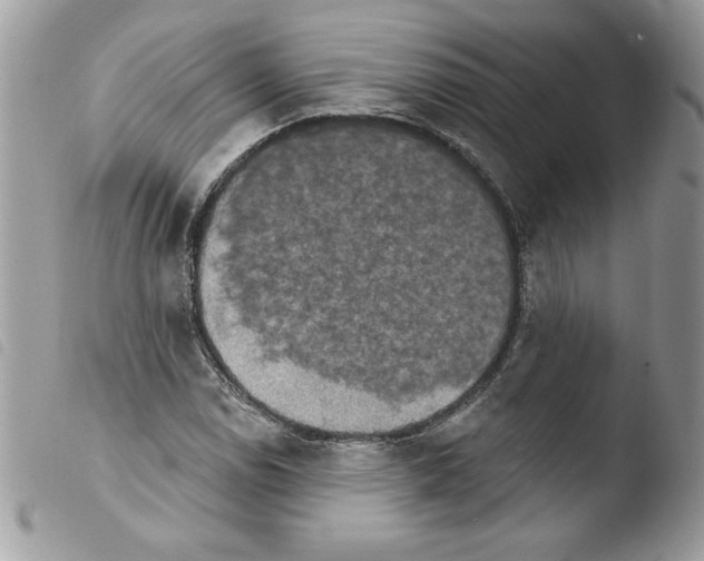 X0000103951114200810171831