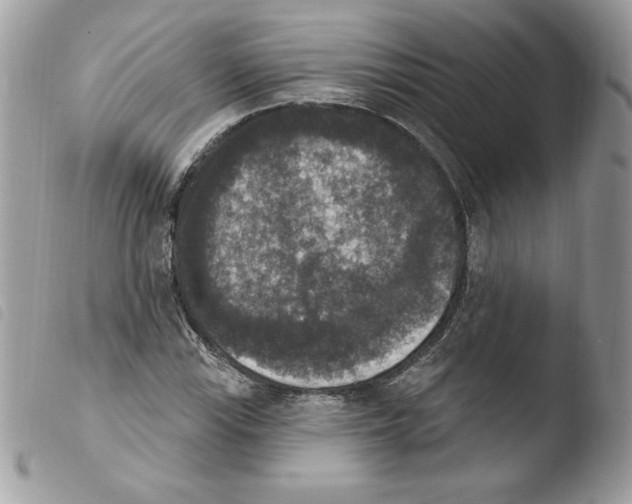 X0000103951115200810171832