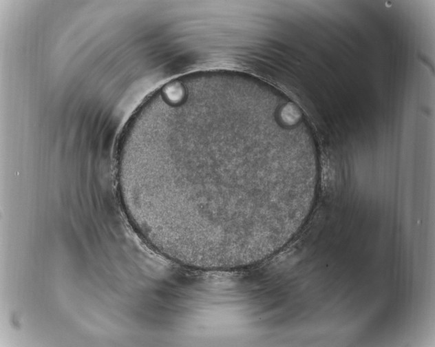 X0000103951116200810171832