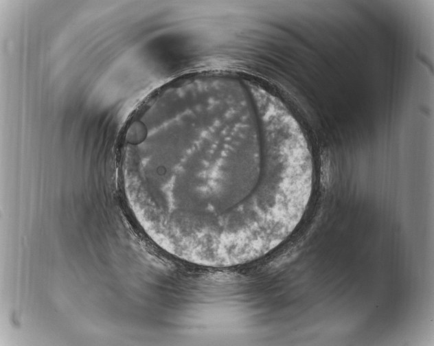 X0000103951117200810171832