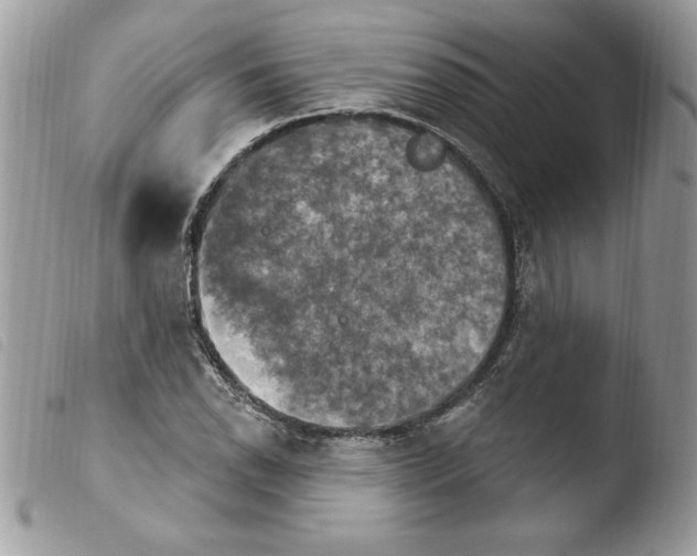 X0000103951118200810171832