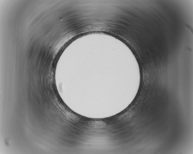 X0000103951119200810171832