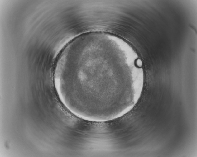 X0000103951120200810171832