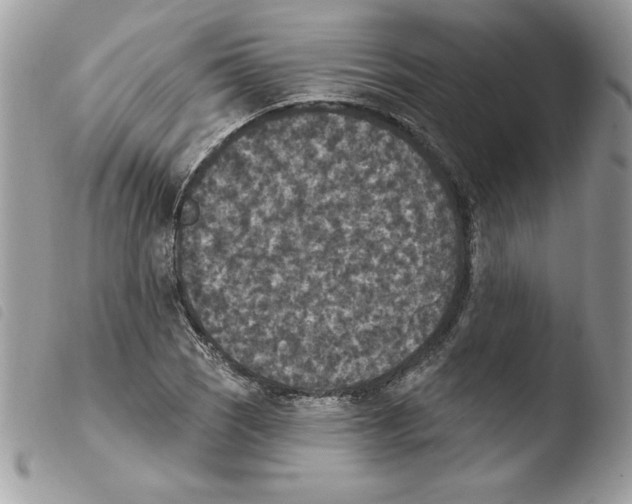 X0000103951121200810171832
