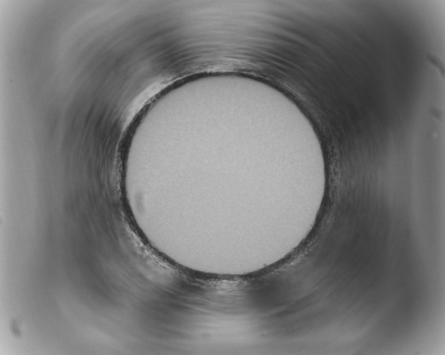 X0000103951122200810171832