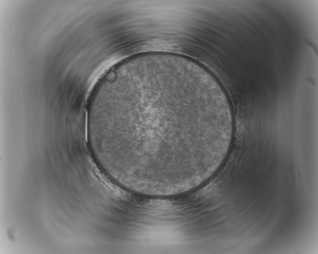 X0000103951123200810171832