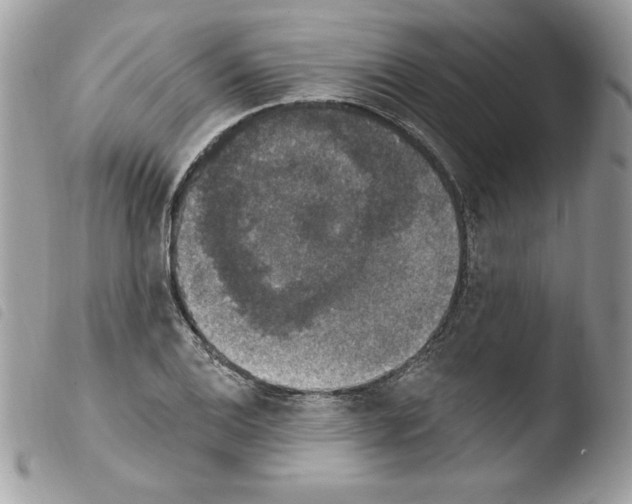 X0000103951124200810171832