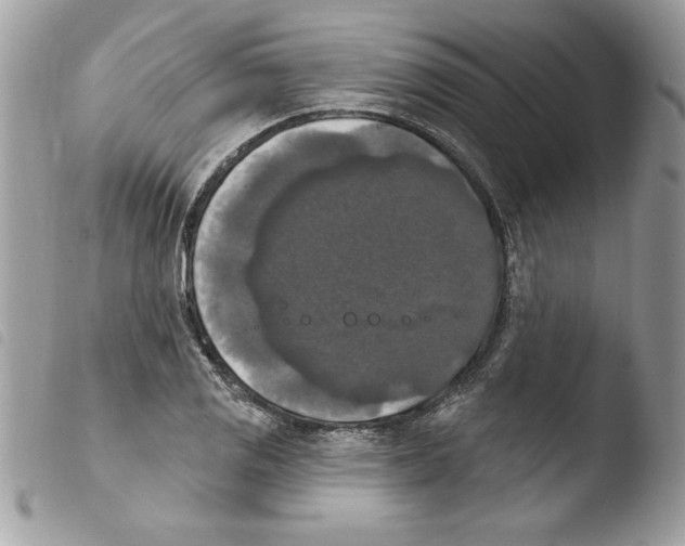 X0000103951125200810171832