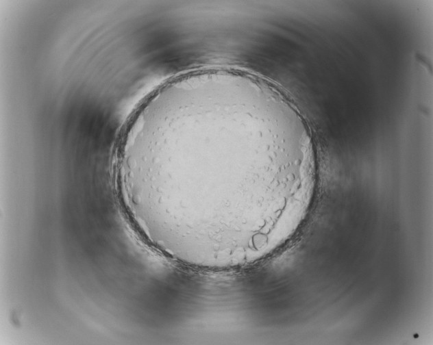 X0000103951126200810171832