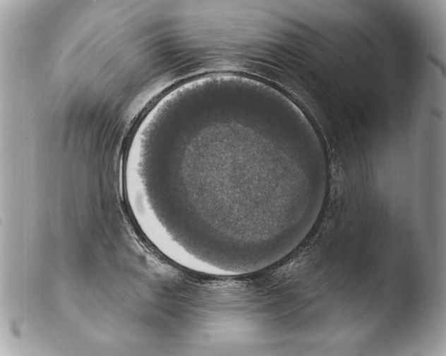 X0000103951127200810171832