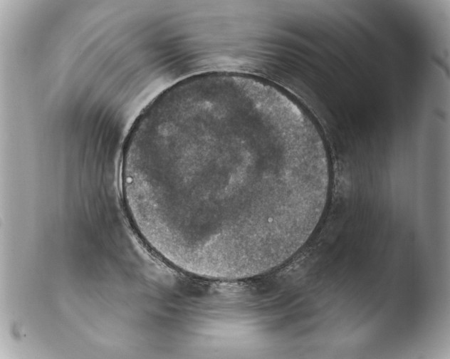 X0000103951128200810171832