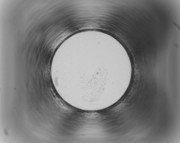 X0000103951129200810171832