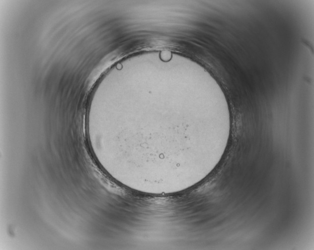 X0000103951130200810171832