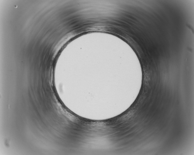 X0000103951131200810171832