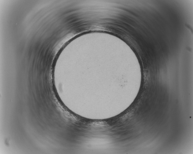 X0000103951133200810171832