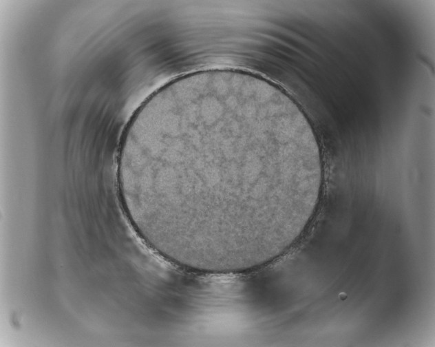 X0000103951134200810171832