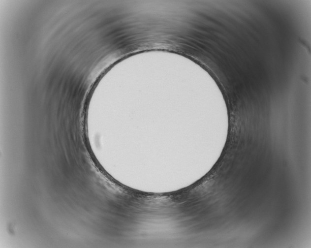 X0000103951135200810171832