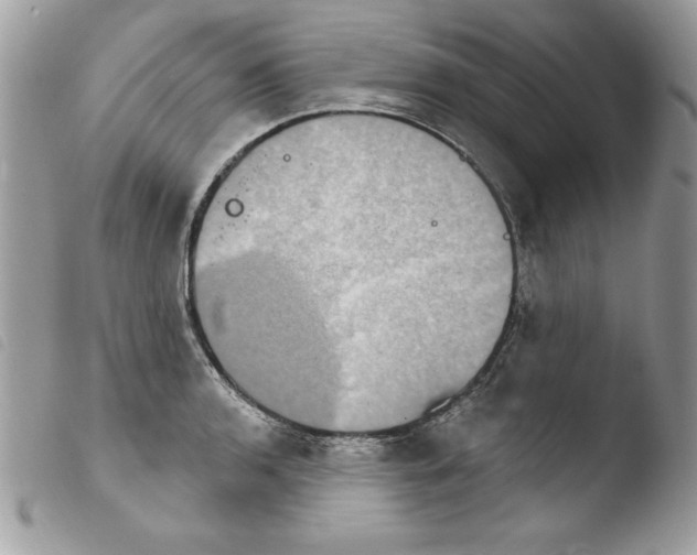 X0000103951136200810171832