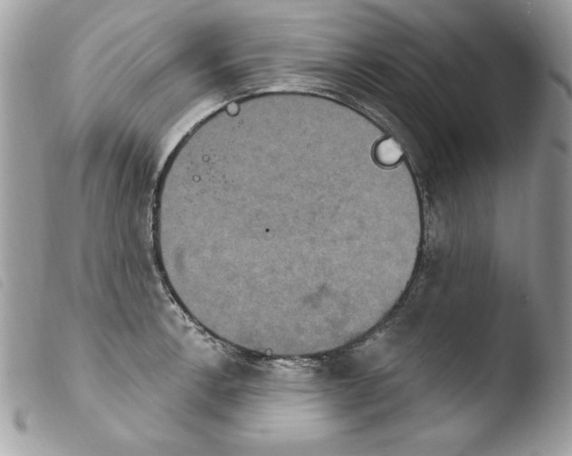 X0000103951138200810171832