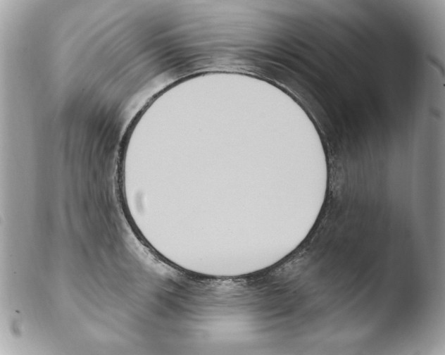 X0000103951139200810171832