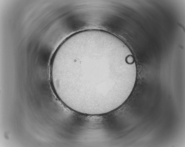 X0000103951140200810171832