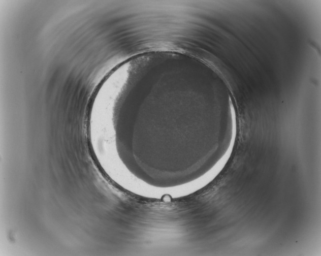 X0000103951141200810171832