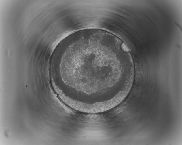 X0000103951142200810171832