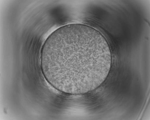 X0000103951143200810171832