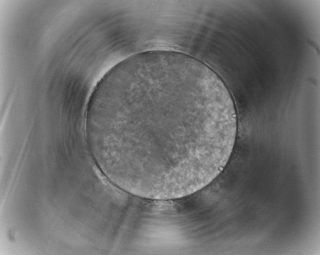 X0000103951144200810171832