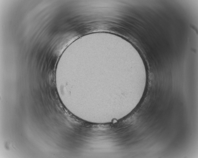 X0000103951145200810171832
