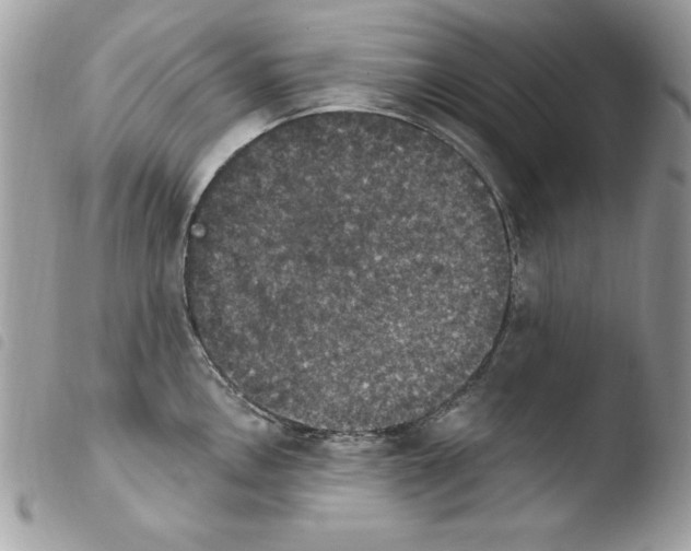 X0000103951146200810171832